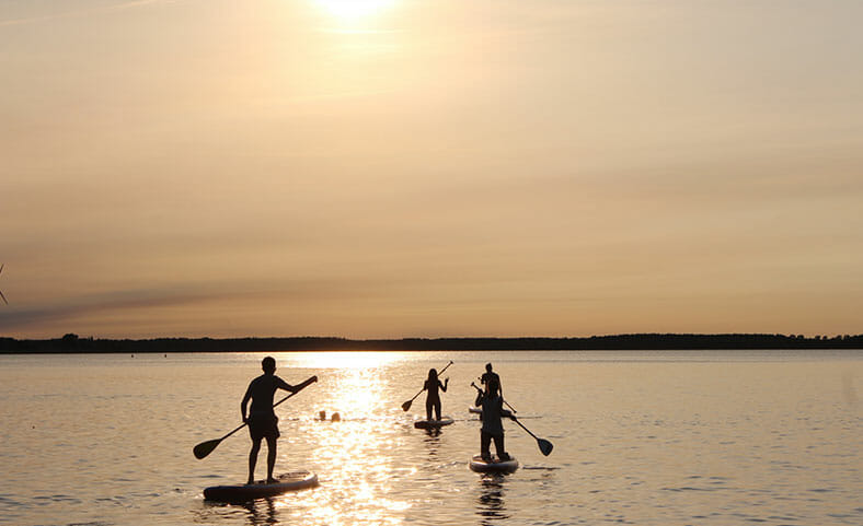 Paddle Boarding